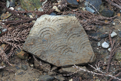 京都・山科の西谷遺跡で発見した、裏面に青海波圧痕をもつ須恵器片（甕か）