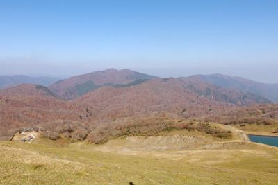 比良山脈蓬莱山山頂からみた武奈ヶ岳・堂満岳方面の冬枯れが進んだ山上の天然林