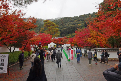 雨天ながら参観者で賑わう京都永観堂門内と鮮やかな盛りの紅葉