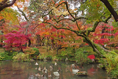 京都永観堂門南門内の池と鮮やかな紅葉
