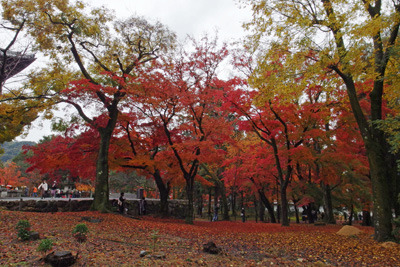 京都・南禅寺三門北の盛りの紅葉