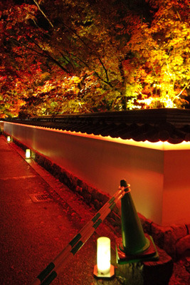 京都・永観堂境内の紅葉ライトアップの様子