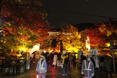 紅葉庭のライトアップを伴う夜間拝観が行われる、京都・永観堂門前の紅葉と参観者の賑わい