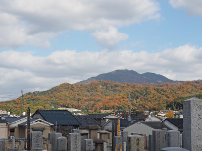 神楽岡墓地から見た天然林紅葉が鮮やかな瓜生山と双耳峰姿の比叡山