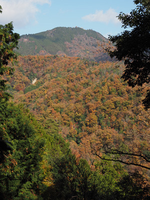 瓜生山山頂北の尾根上から見た比叡山とそこに続く山肌の紅葉