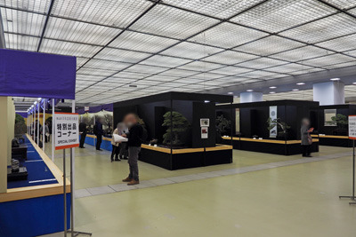 京都市勧業館みやこめっせ1階の第42回日本盆栽大観展会場