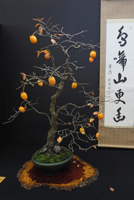 京都市勧業館みやこめっせ1階の第42回日本盆栽大観展に展示される、柿の実と落葉ある盆栽作品