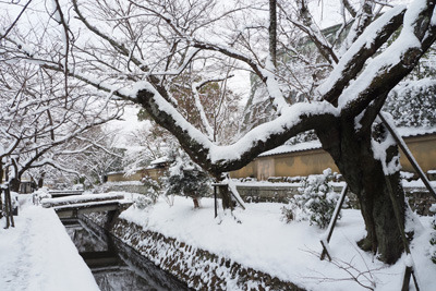 雪に覆われる哲学の道及び琵琶湖疏水分線