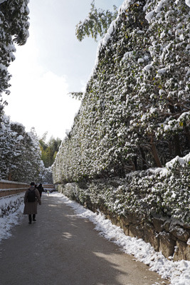 雪に覆われる銀閣寺垣