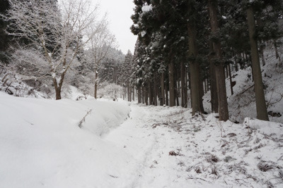 雪に覆われる花脊別所集落奥の林道
