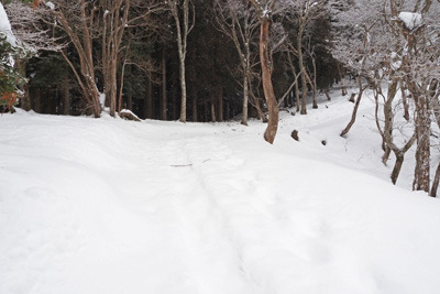 京都北山・花脊の寺山峠から北に続く雪に埋もれた林道と古い踏み跡