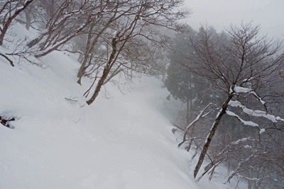 京都北山・地蔵杉山近く山上で雪にまみれる林道や樹々