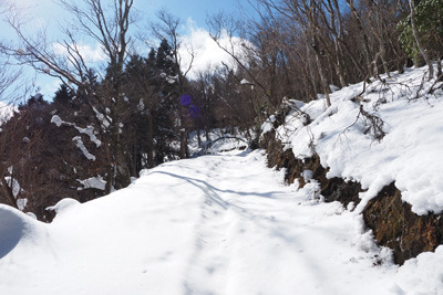 京都北山・寺山峠の南へ続く古いトレースのある雪の林道
