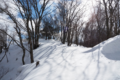 トレースの無い、京都北山・寺山峠と旧花脊峠間を結ぶ雪の林道、