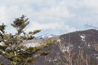 京都北山・寺山尾根から見えた雪の比良山脈・武奈ヶ岳