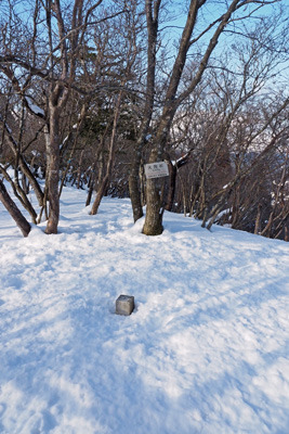 京都北山・天狗杉山頂と雪上から覗く三角点