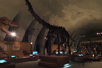 山田守建築のドーム天井の下に恐竜の大型骨格標本等が展示される、東海大自然史博物館上階