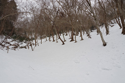 雪に覆われる、京都・雲取山三ノ谷ルート最後の急斜