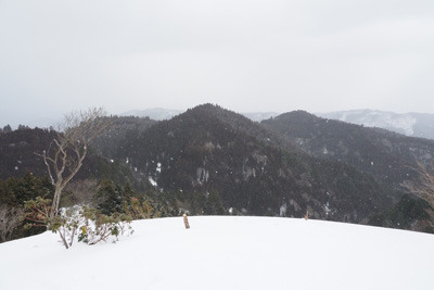 雪に覆われる、京都・雲取北峰山頂と手前の地蔵杉山等
