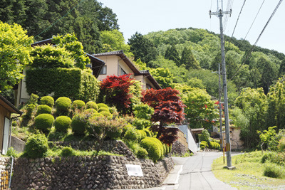 京都東山山塊の新緑が眩しい、鹿ケ谷上部の如意越口