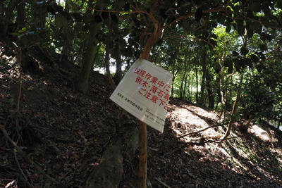 京都東山（大文字山・如意ケ嶽）奥の如意寺本堂地区手前の古道上に現れた伐採作業の注意標示