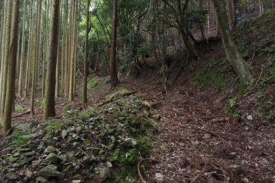琵琶湖北岸の飯浦集落の外れから余呉湖南岸方向の峠に続く石塁を備えた幅広古道