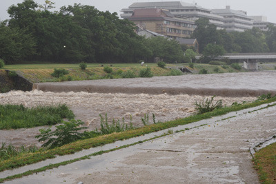 平成5年（2023年）8月15日の台風7号通過後の夕方の賀茂川の濁流