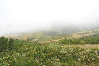 北ノ俣岳と薬師岳を結ぶ稜線道から見えた奥黒部の黄葉