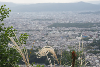 大文字山火床から見たススキ越しの京都市街