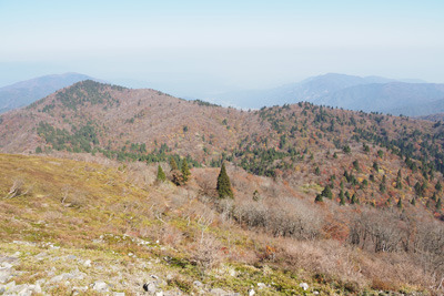 武奈ヶ岳山頂から見た北側は広谷の紅葉