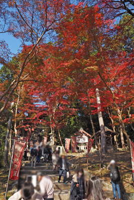 山科・毘沙門堂門跡の本殿・仁王門下の鮮やかな紅葉