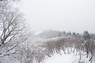 雲や霧のため、武奈ヶ岳山頂の眺望が得られない雪上の西南稜ルート