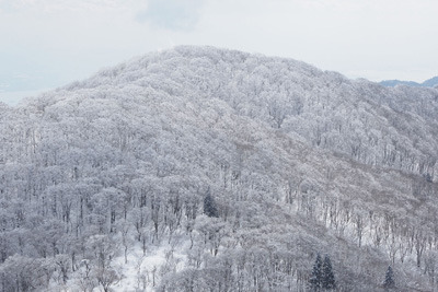 比良山脈主峰・武奈ヶ岳山頂から見た、樹氷まとうコヤマノ岳の雪景